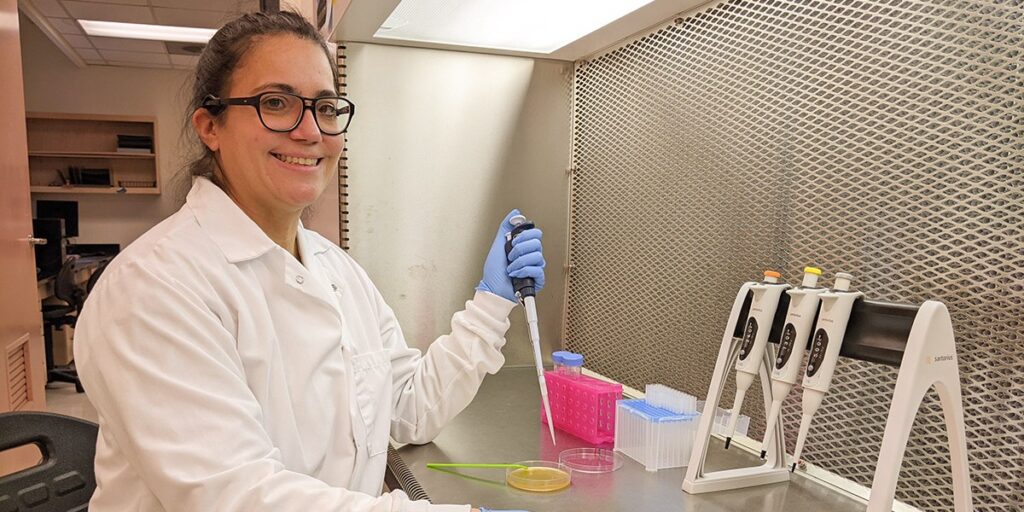 Microbe sneaks past tomato defense system, advances evolutionary battle