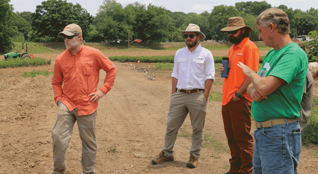Tillage key to weed control for Southeast fall broccoli