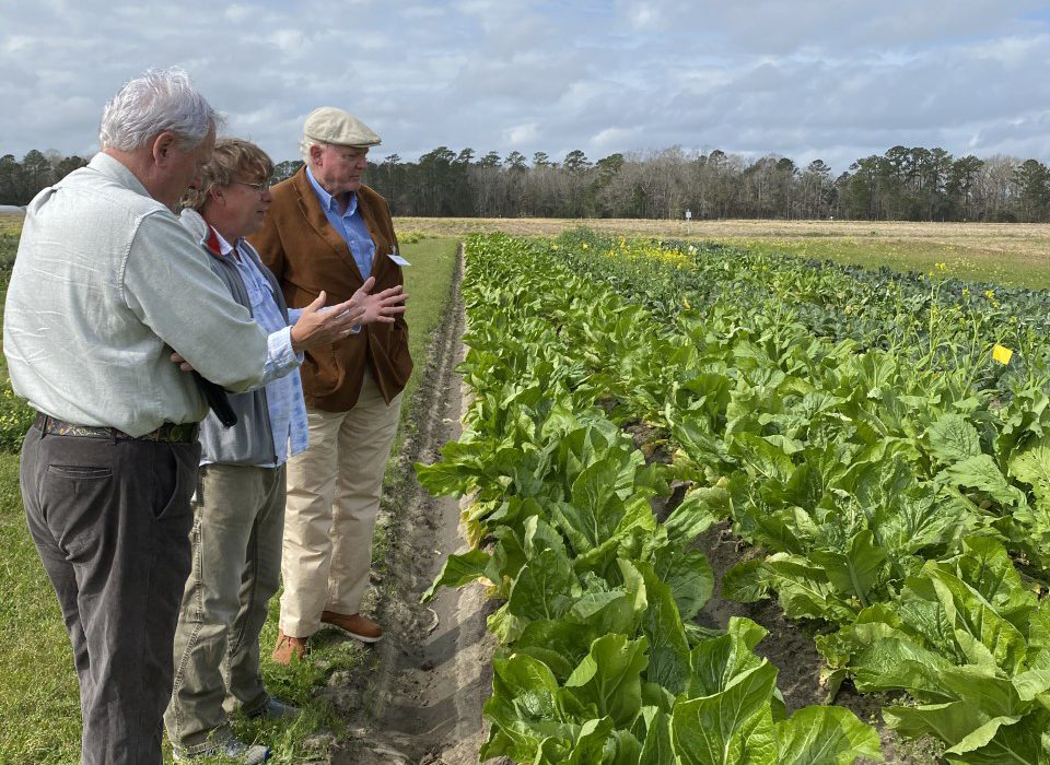 McCall Farms backs vegetable breeding research through $3M contribution