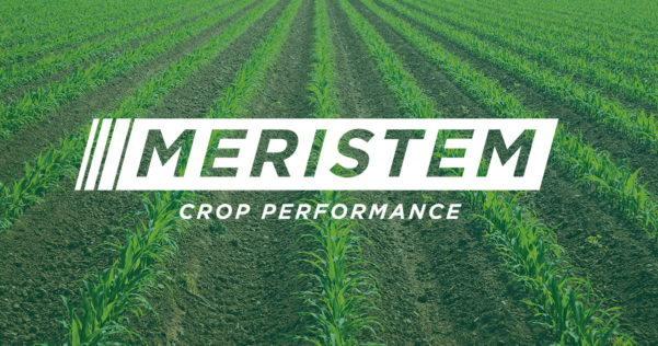Meristem names new Midwest account manager