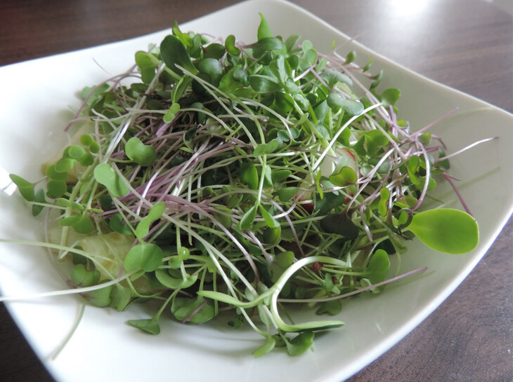 Microgreens go from trendy vegetables to functional food