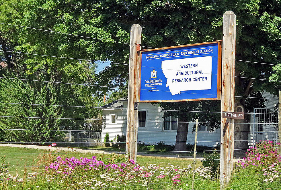 More funding set for Corvallis Western Ag Research Center in Montana