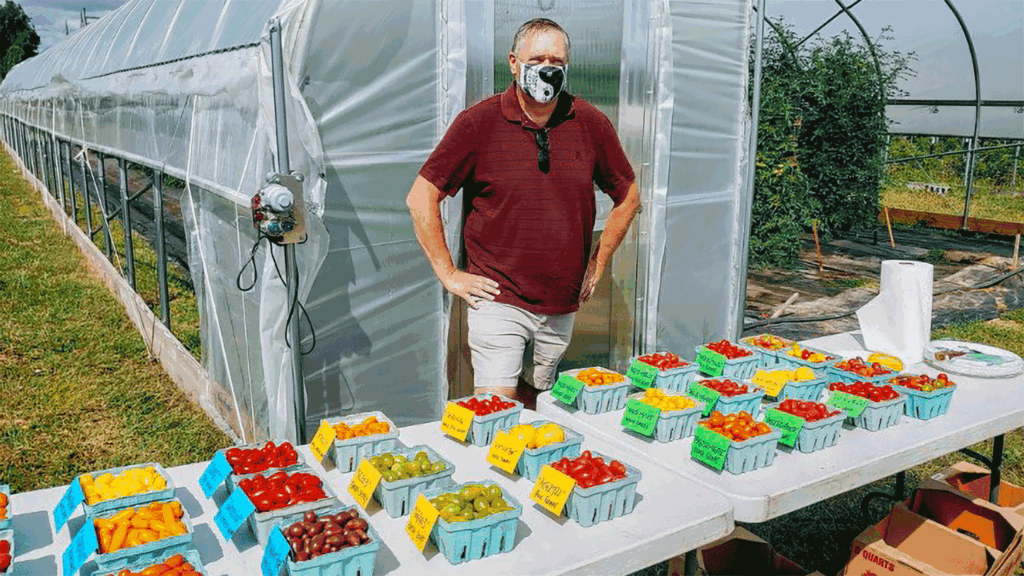 Moonshadow tomato packs flavorful punch, offers better shelf stability