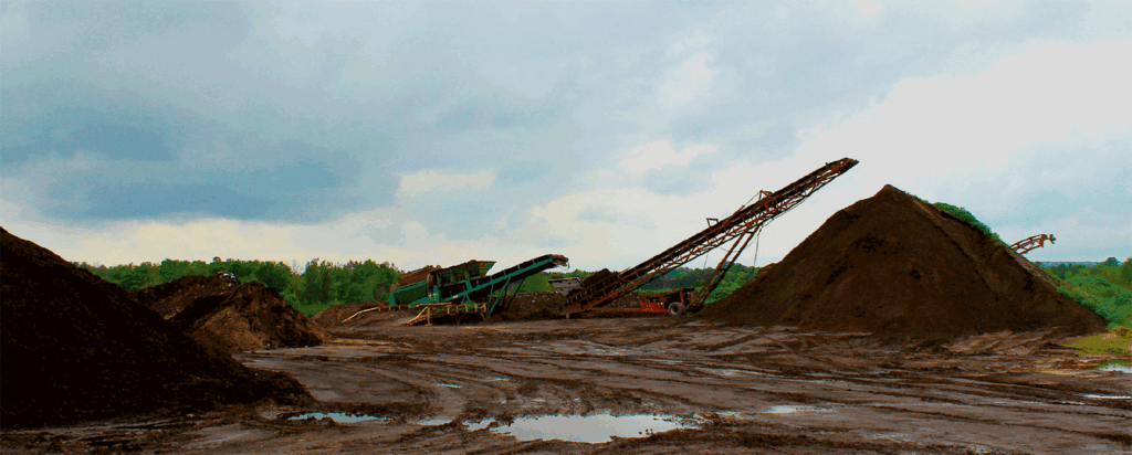 Nitrogen management key for organic sweet corn