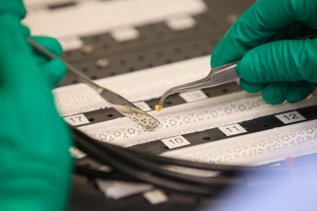 Pepper seeds ready to spice up space station