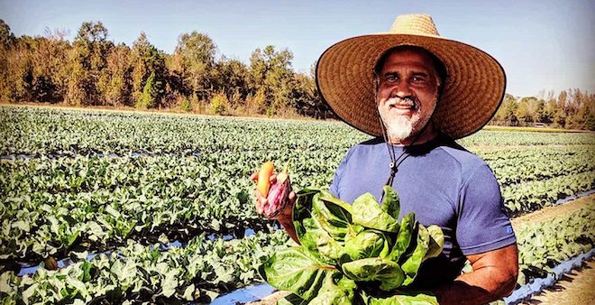 Vegetable farm introducing organics to Alabama