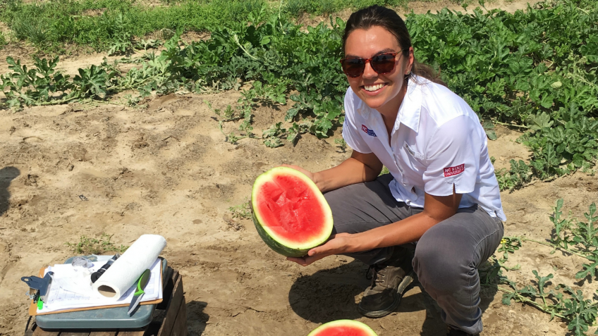 North Carolina State student gets hands-on with horticulture research