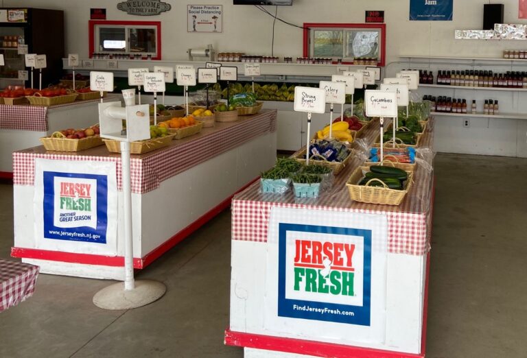 Farmers pursue innovative marketing in New Jersey during pandemic