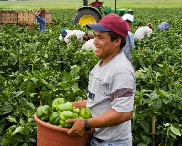 Rutgers Extension gets USDA-NIFA funding to promote vaccine education