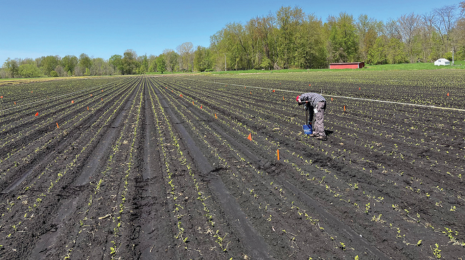 Comparing nitrogen management technologies