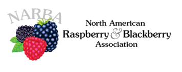 Raspberry, blackberry conference returns to in-person event