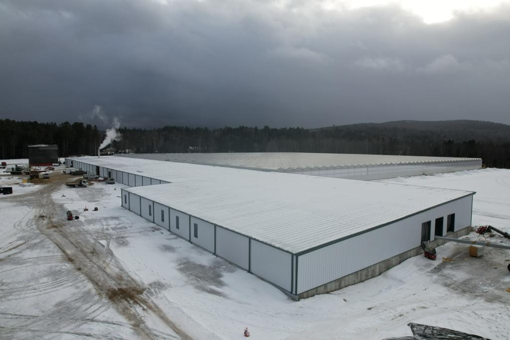 New Hampshire greenhouse operator prepares for May opening