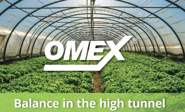 Balance in the high tunnel