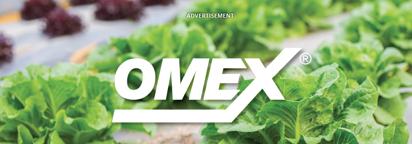 When fungicides need a helping hand …