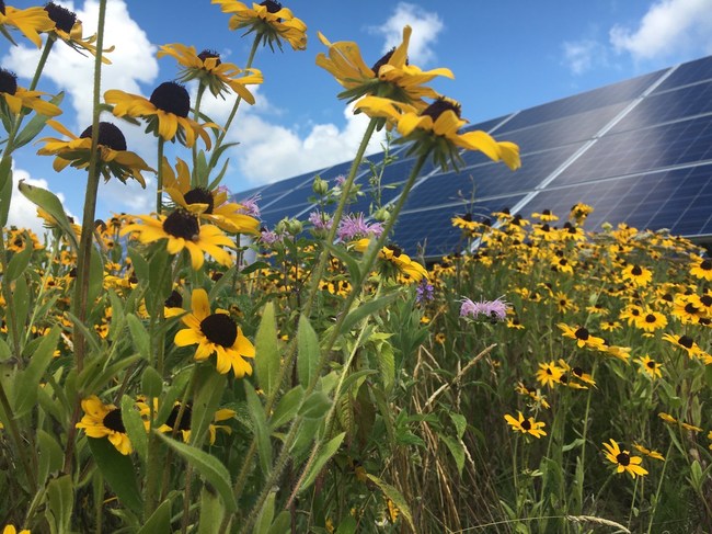 Organic Valley pursues next phase of community solar partnership