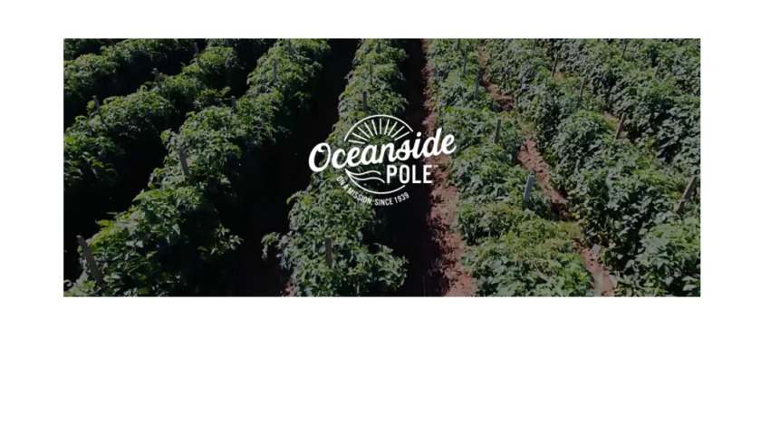 West Coast Tomato Growers combine tradition, innovation