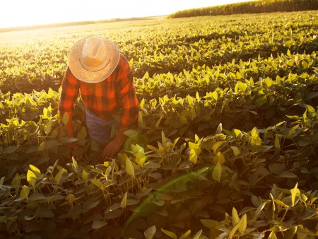 California shares employer checklist for COVID-19 outbreak action