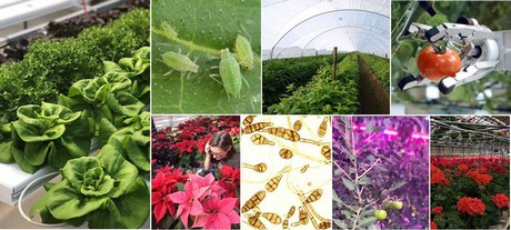 Ohio greenhouse workshop deals with sustainable, safe production