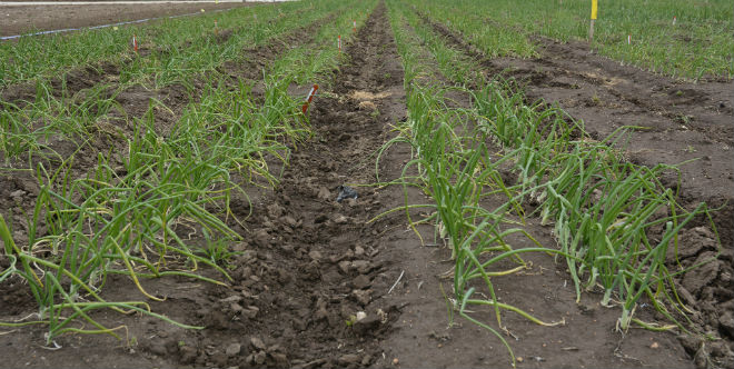 Inflation, rising input costs impact Northwest agriculture