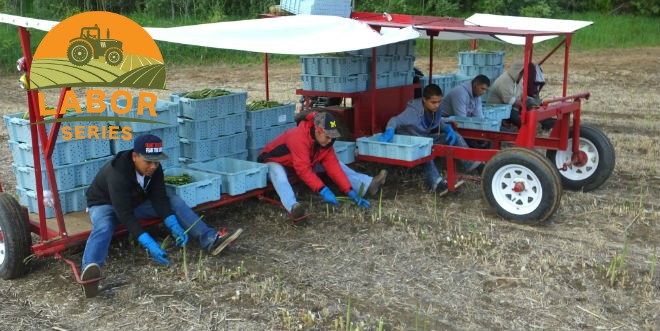 Growers share pros and cons of H-2A program