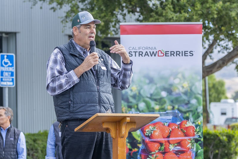 Cal Pol Strawberry Center Field Day sets attendance record