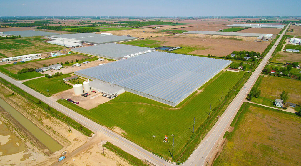 Mucci Farms acquires Orangeline Farms, plans expansion