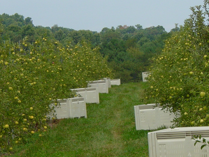 H-2A growers’ forum eyes protecting agricultural employee health