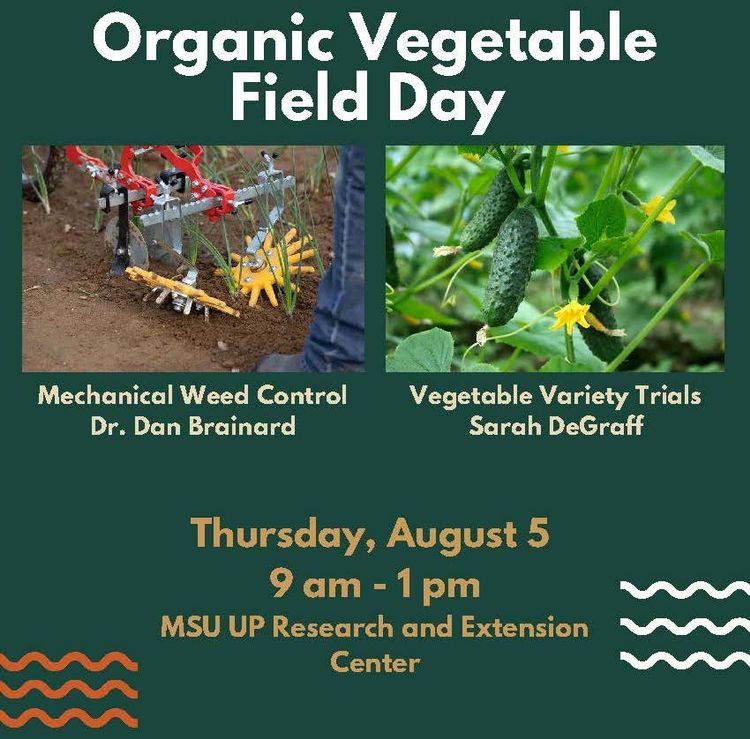 Michigan State University to host Organic Vegetable Field Day in UP