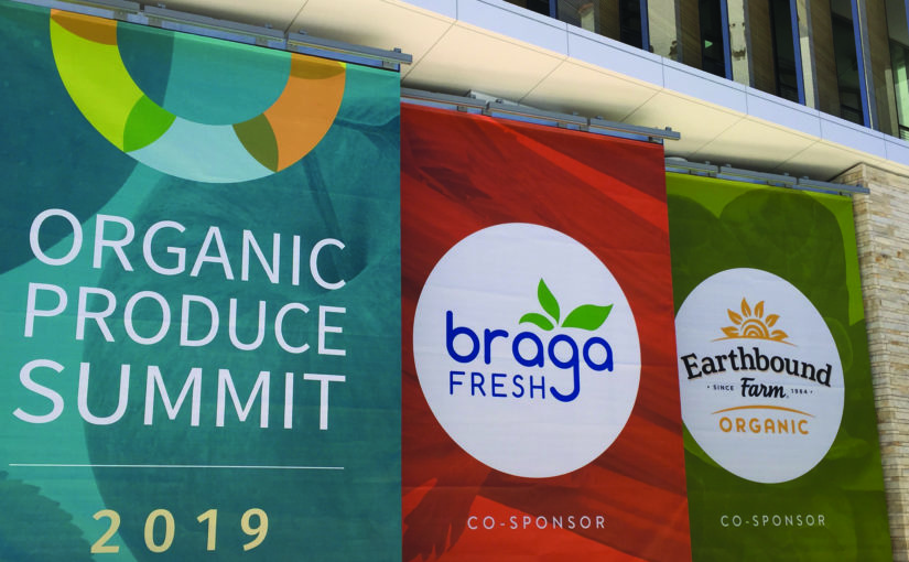 Organic growth in the spotlight