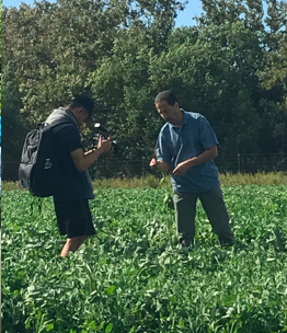 Organic Soil Management training module introduced for growers