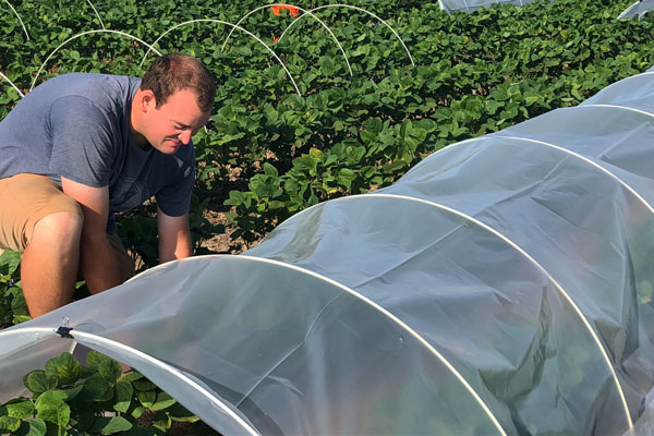 Mizzou Pest Management Field Day set for July 9