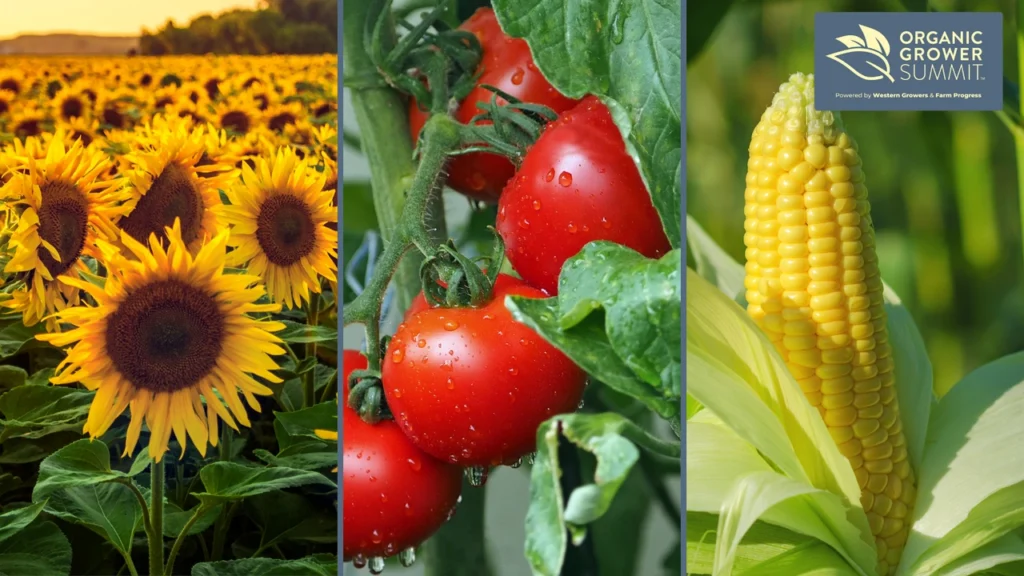 Park Farming Organics spent 20 years transitioning its 1,350-acre farm from conventional to organic practices. 
