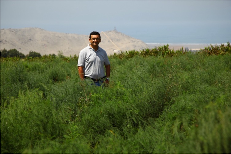 Walker Brothers Inc. strengthens its presence in the South America region