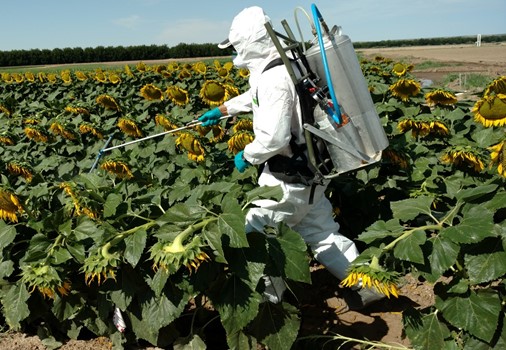 New Mexico Extension to provide pesticide applicator training online