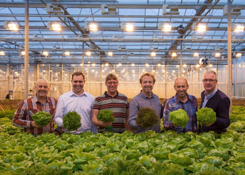 Enza Zaden breeding greens for indoor farming