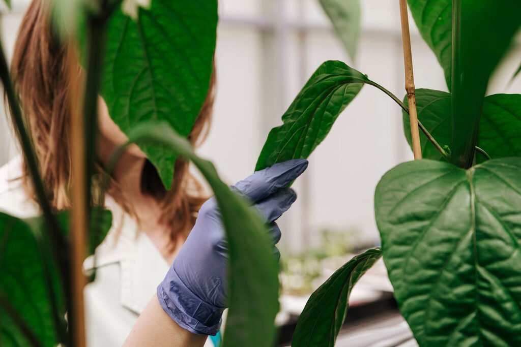 Biological products to be offered by newly formed Plant Response Biotech