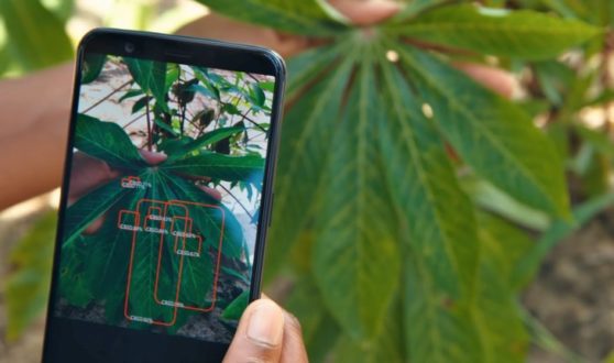 Crop health artificial intelligence project funded