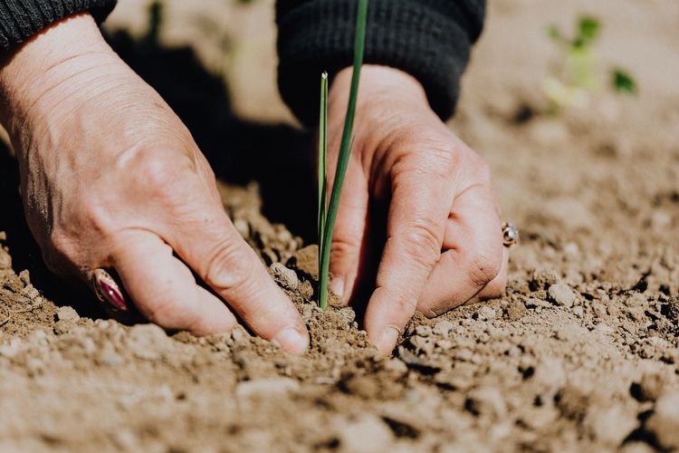 A one-stop shop for new farmers to find land and resources: MiFarmLink