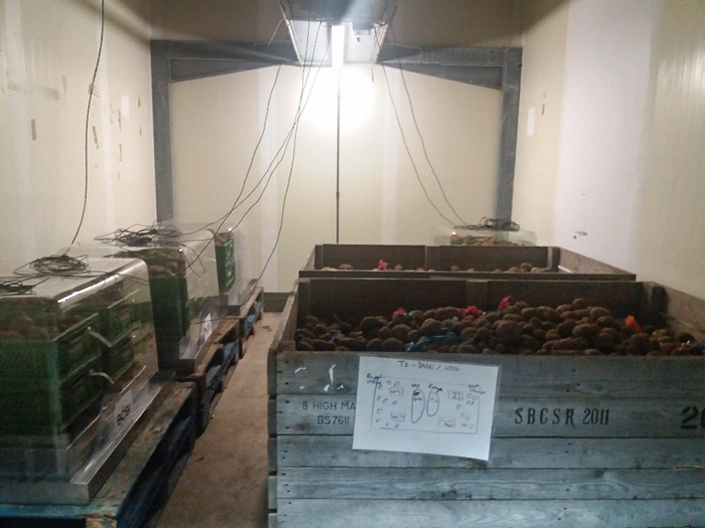 P-Pod system could advance storage monitoring of potatoes
