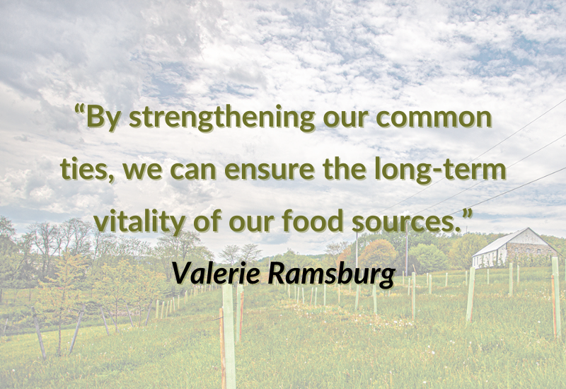 Image of a quote from Valerie Ramsburg on pollination importance