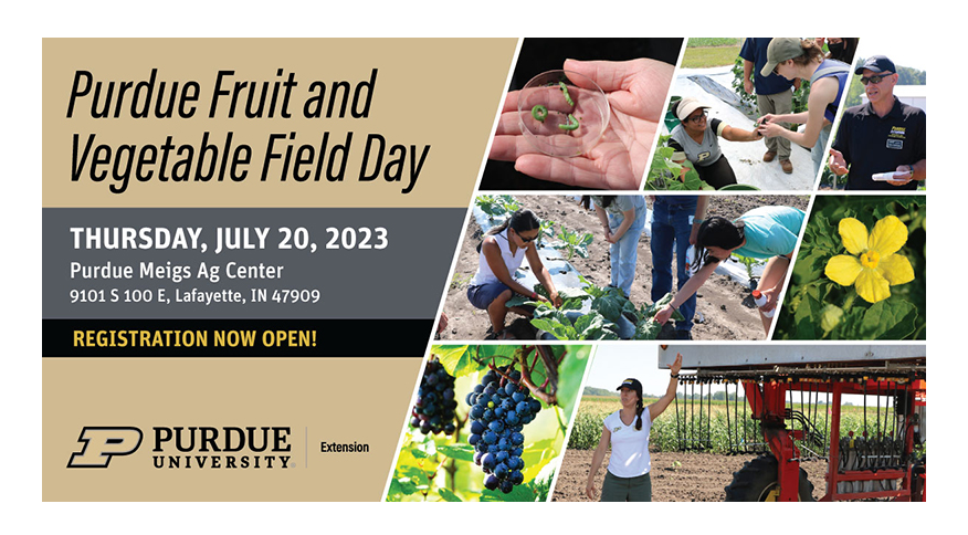 Purdue Fruit and Vegetable Field Day registration opens