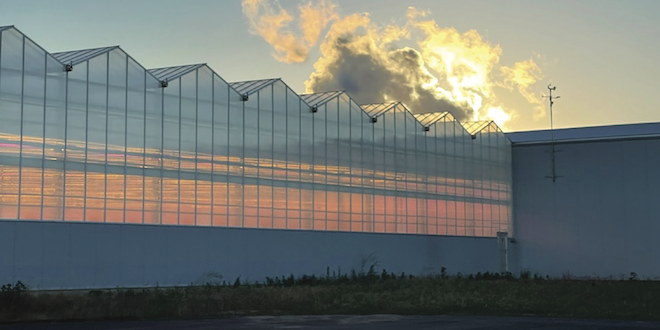 Pure Green Farms’ indoor-outdoor approach works well in broad market