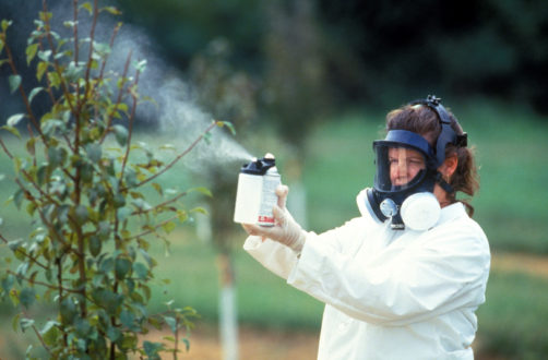 Respirator fit-testing temporary guidance expanded during COVID-19 pandemic