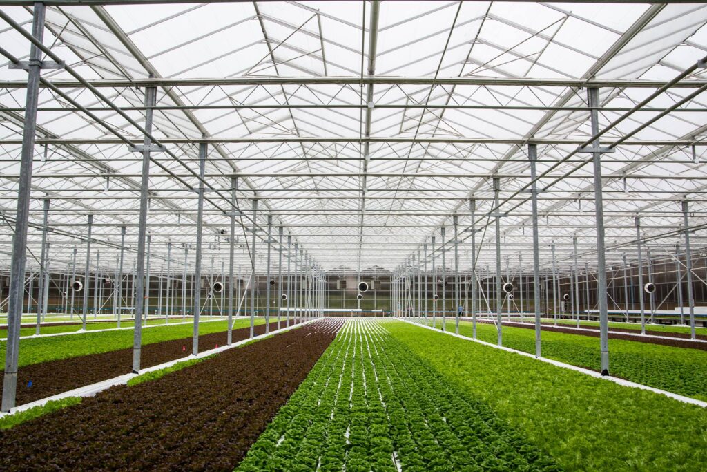 Revolution Farms launches four new products in Michigan markets