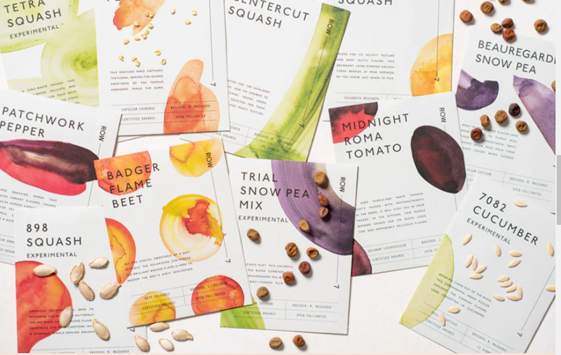 Organic hybrid Sweet Garleek named a best invention of 2023