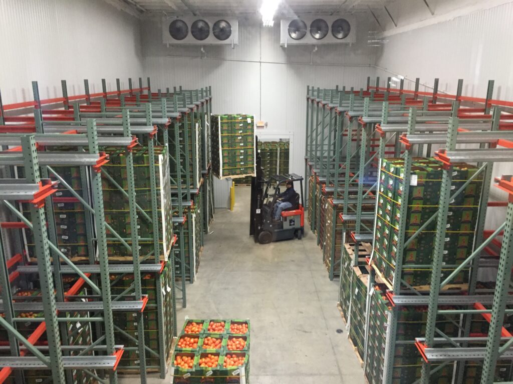 San Antonio Wholesale Produce Market featured on Viva Fresh tour