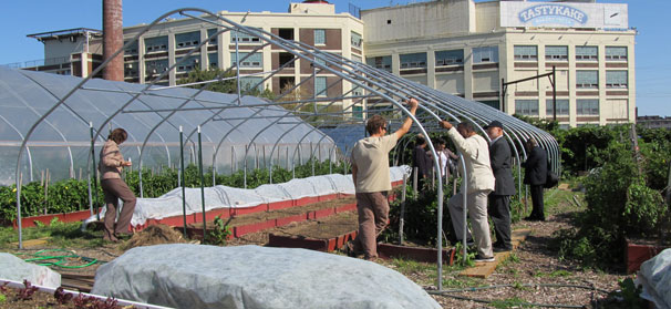 Penn State helps build Philadelphia high tunnels