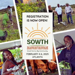 SOWTH 2025