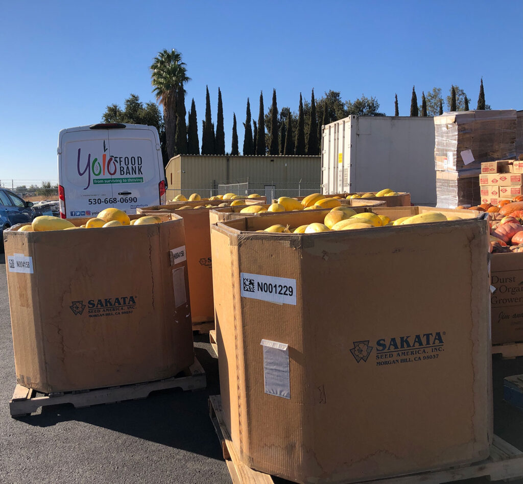 Sakata Seed America increases food donations to Yolo Food Bank