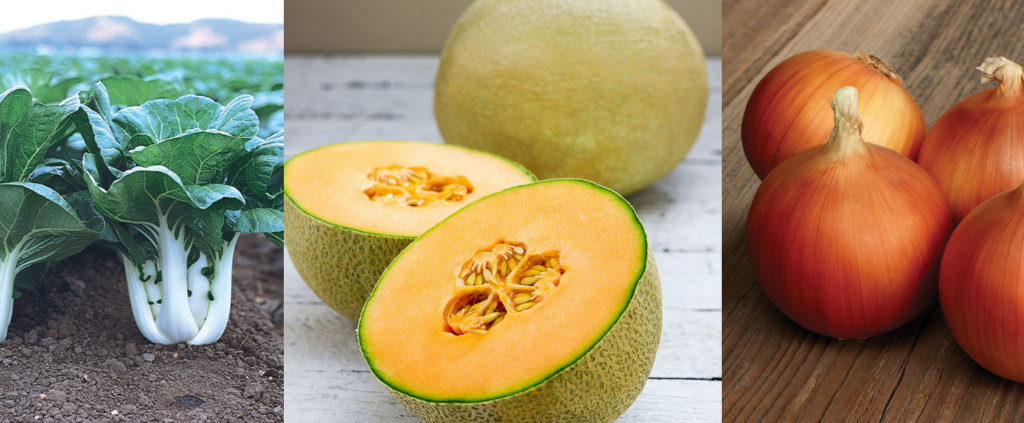 Sakata Seed America relocates, expands facilities